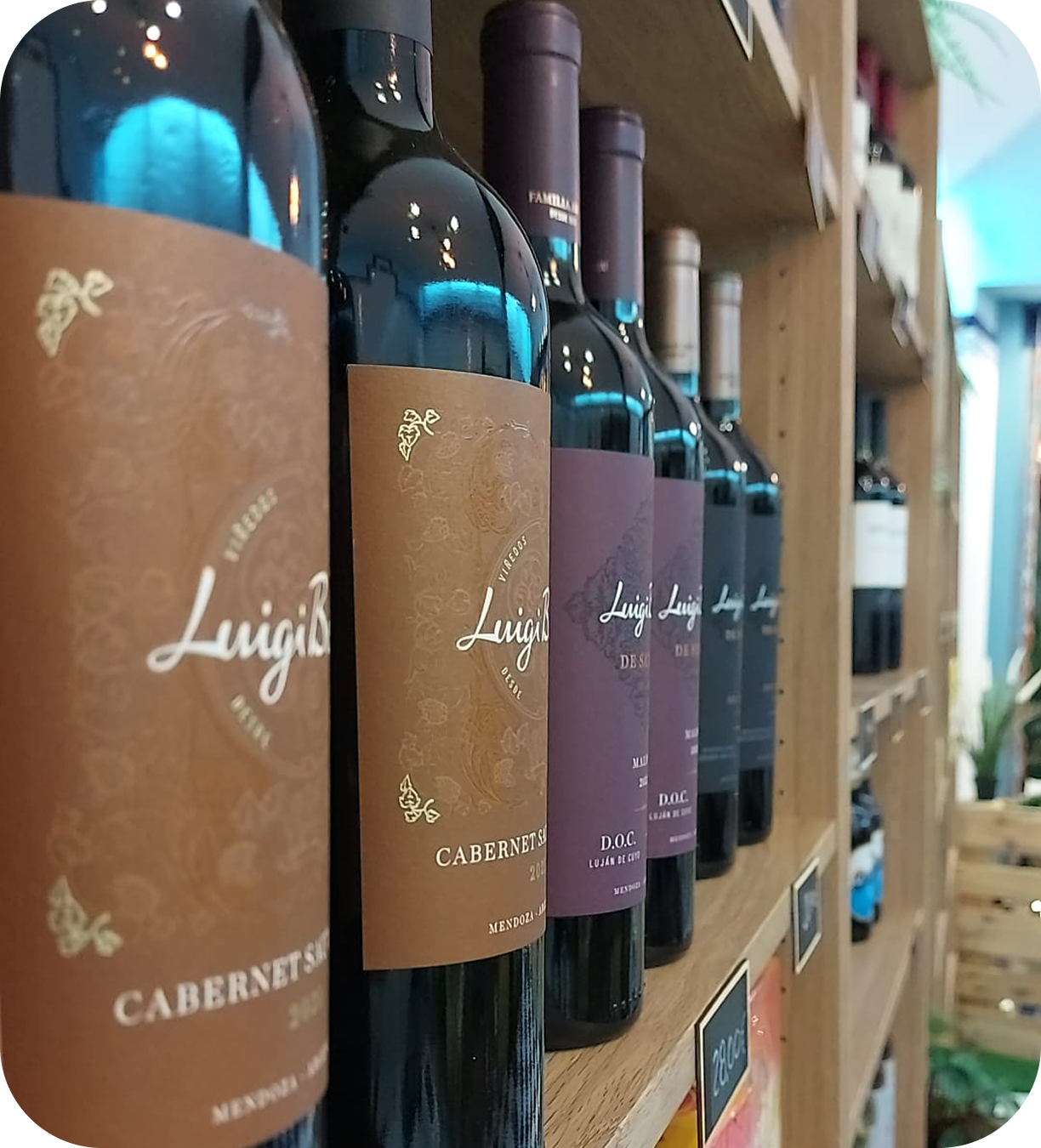 IMG-20251202-WA0084 2